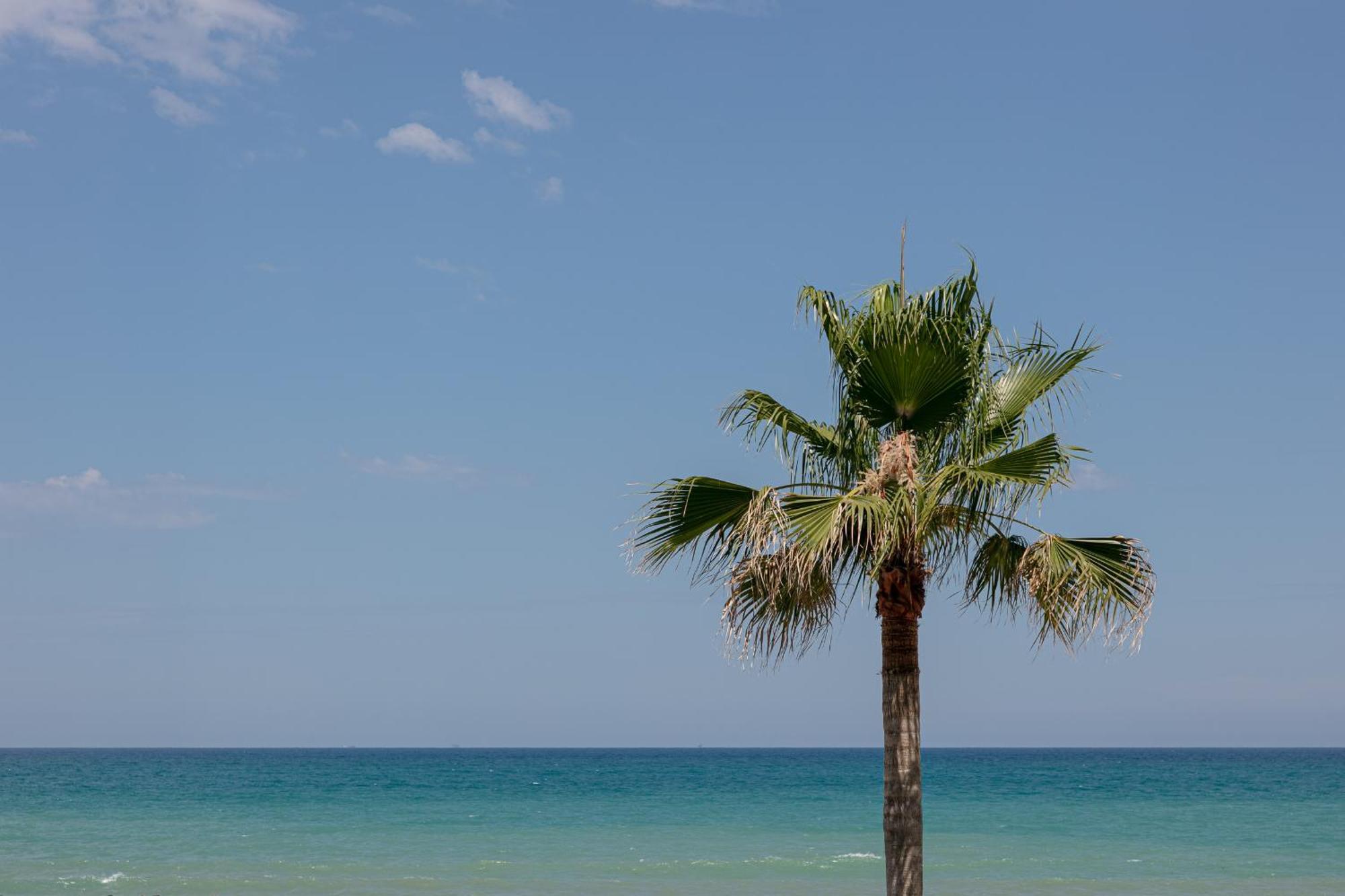 King'S Rooms Termoli Bagian luar foto